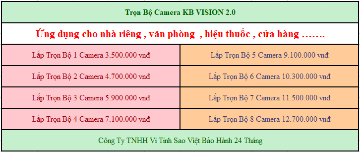 Công Ty TNHH Vi Tính Sao Việt